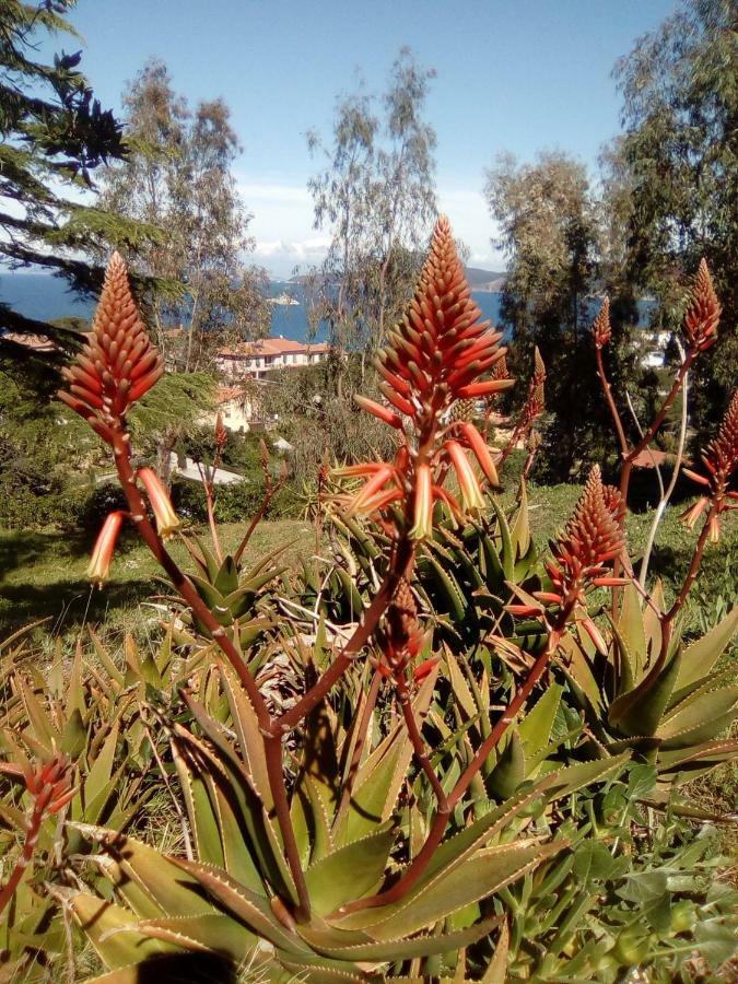 Apartament Sansone Portoferraio Zewnętrze zdjęcie