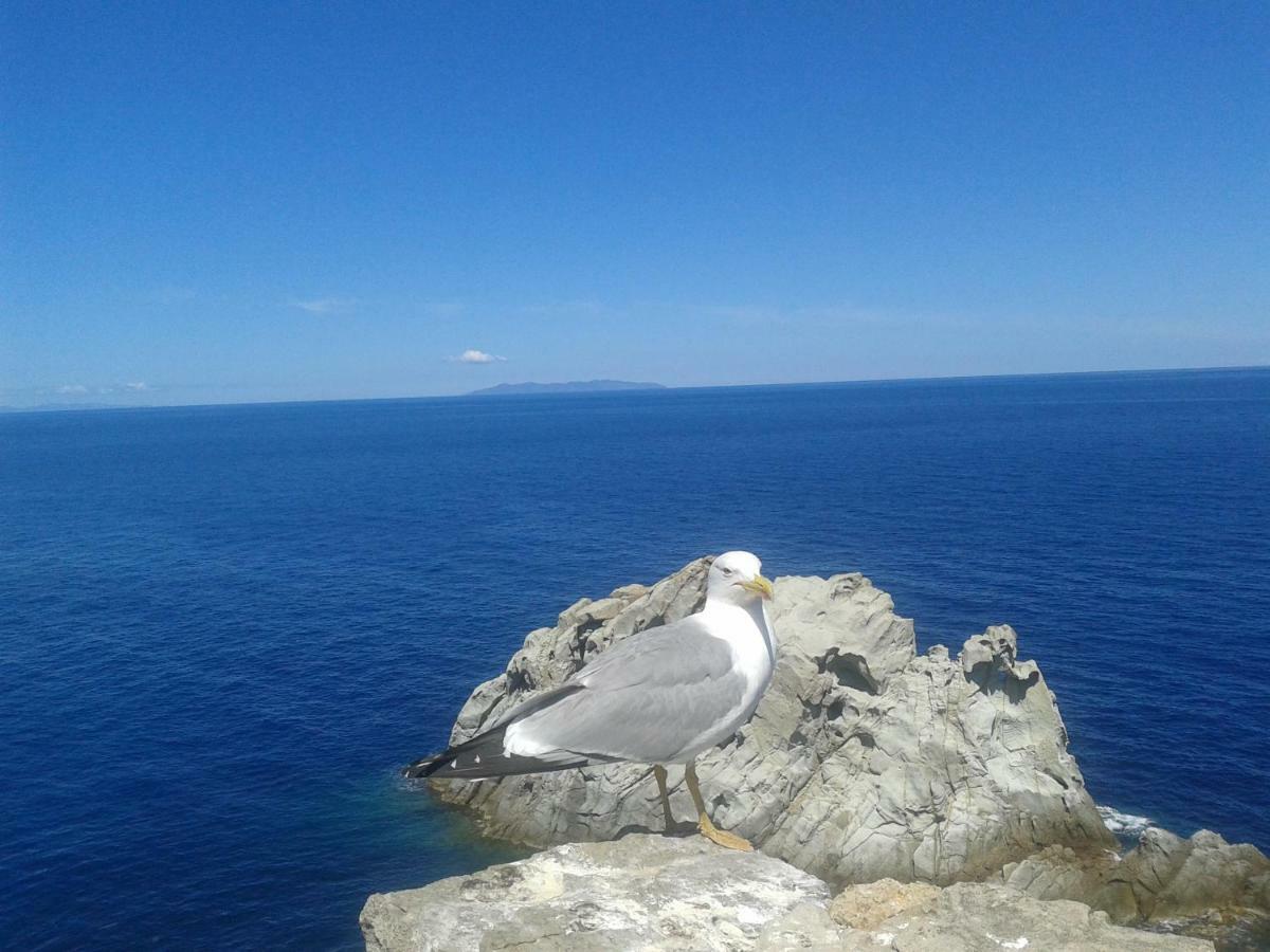 Apartament Sansone Portoferraio Zewnętrze zdjęcie